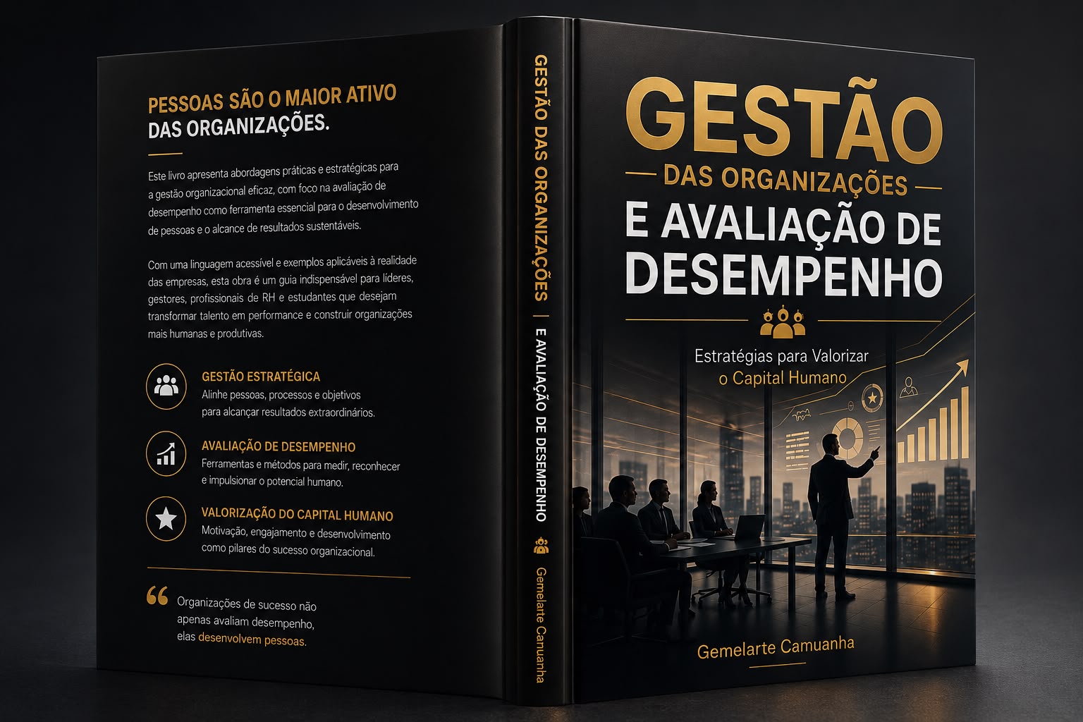 Gestão das Organizações